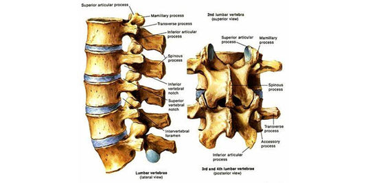Low back pain Outcome Improvement Activity