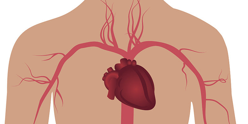 Coronary Artery Disease Outcome Improvement Activity