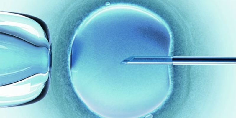 Reproductive problems Outcome Improvement Activity