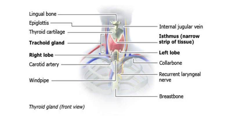 Thyroid conditions