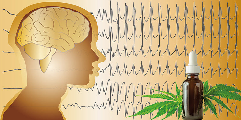 Plant-Based Medicine - Epilepsy – Adults and child