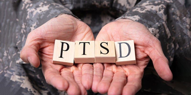 Plant-Based Medicine - PTSD – Treatment in clinical practice