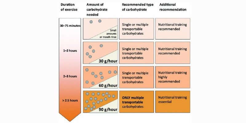 Nutrition for Sport and Musculoskeletal health