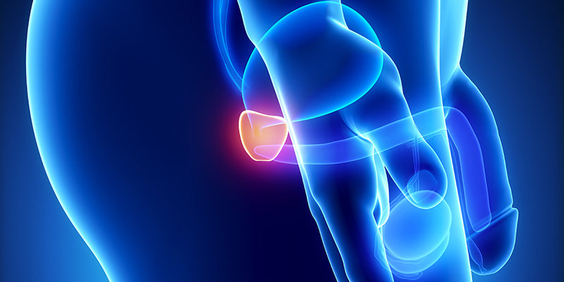 Prostate conditions and prostate check Outcome Improvement Activity