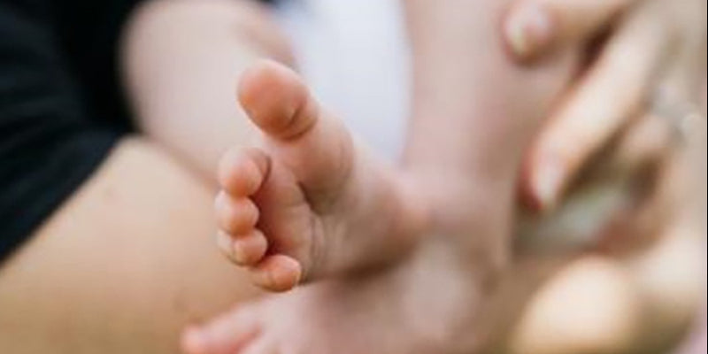 Pregnancy: Complete nutrition guide for fertility, pregnancy and lactation