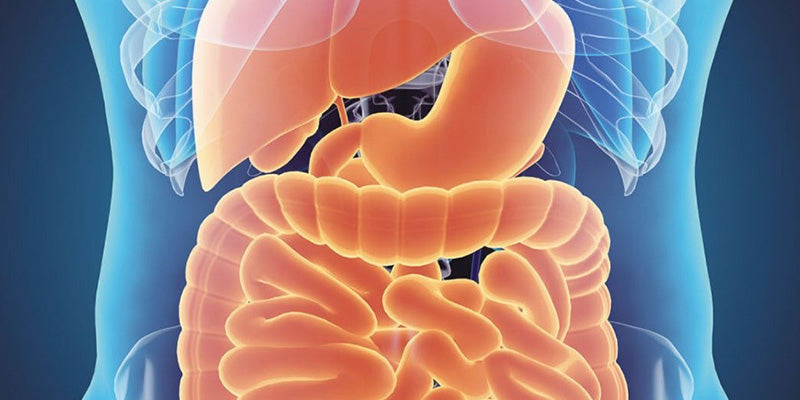 Gastrointestinal complaints