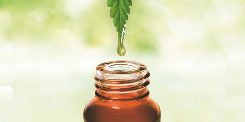 Plant-Based Medicine - Anxiety, Insomnia and Depression